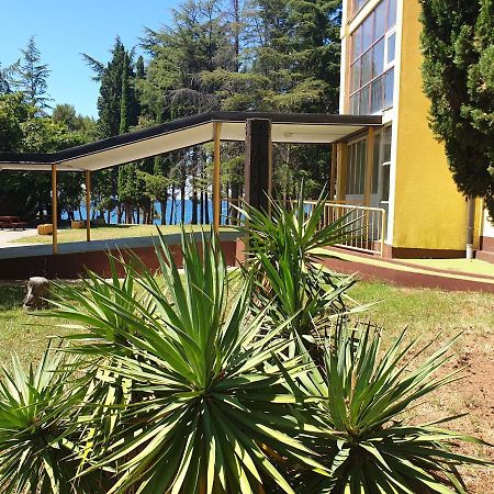 Youth Hostel Pinesta Novigrad Istria Dış mekan fotoğraf