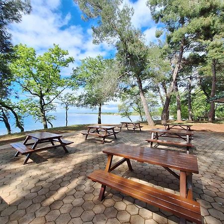 Youth Hostel Pinesta Novigrad Istria Dış mekan fotoğraf