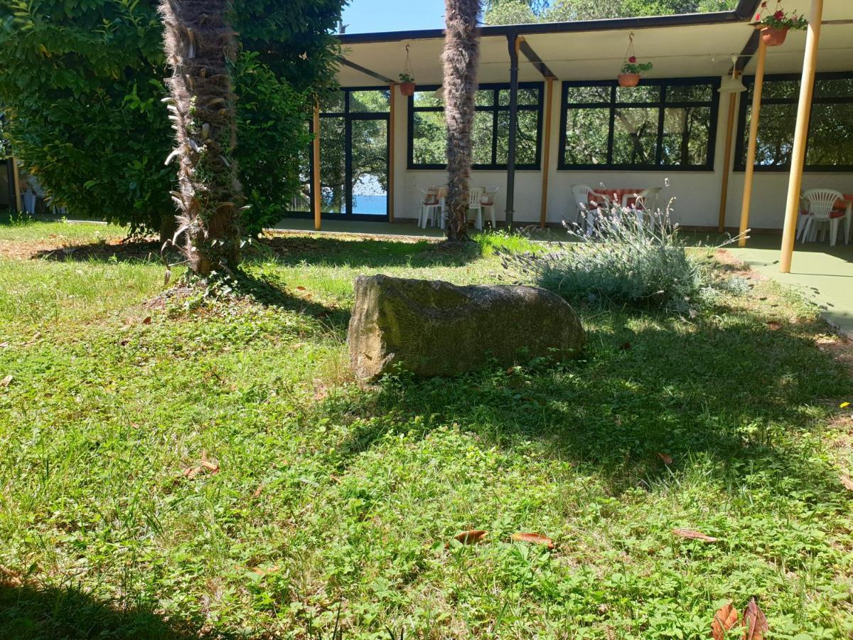 Youth Hostel Pinesta Novigrad Istria Dış mekan fotoğraf