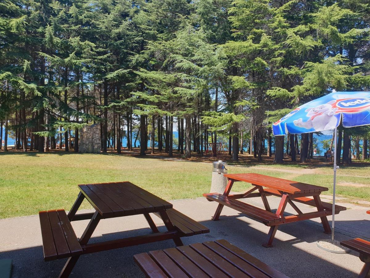 Youth Hostel Pinesta Novigrad Istria Dış mekan fotoğraf