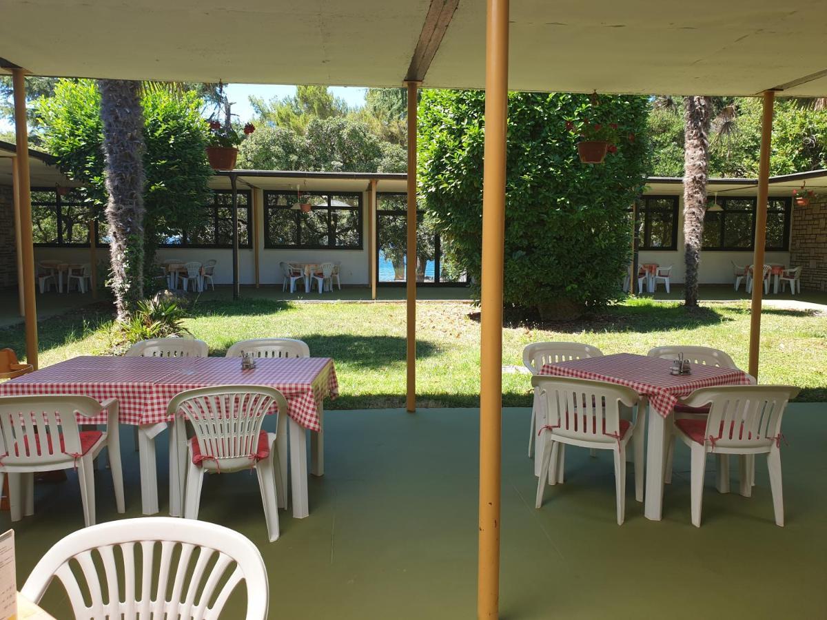 Youth Hostel Pinesta Novigrad Istria Dış mekan fotoğraf