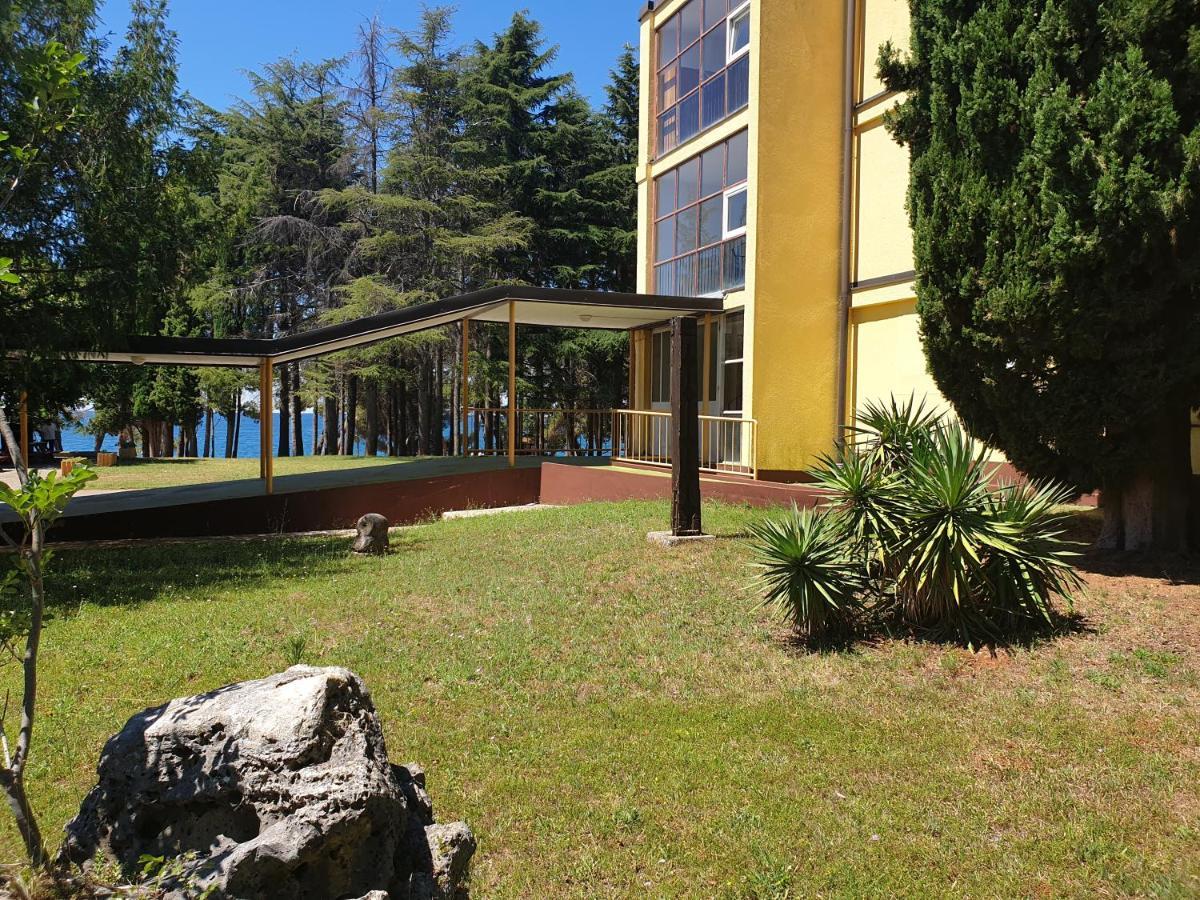 Youth Hostel Pinesta Novigrad Istria Dış mekan fotoğraf