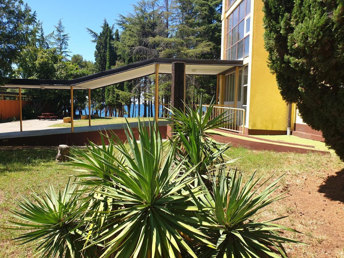 Youth Hostel Pinesta Novigrad Istria Dış mekan fotoğraf