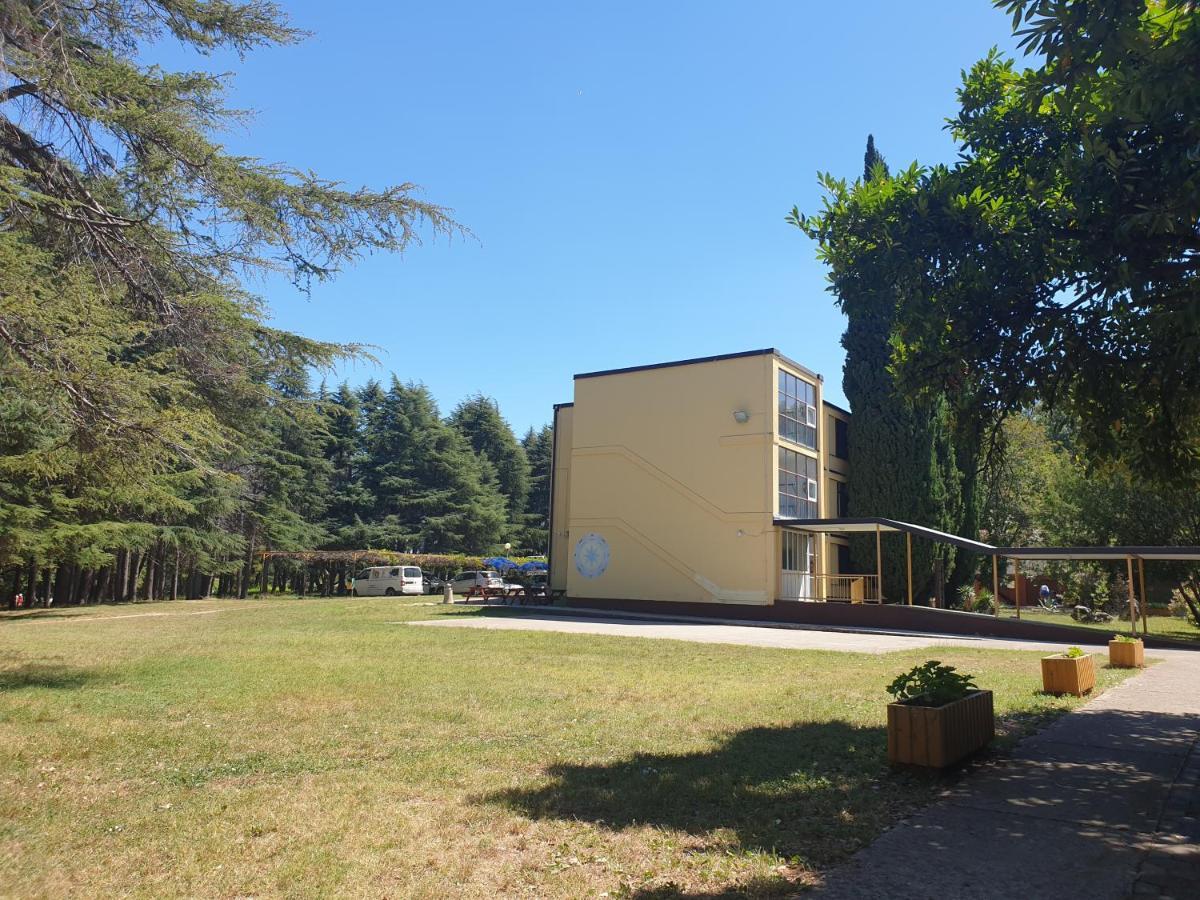 Youth Hostel Pinesta Novigrad Istria Dış mekan fotoğraf