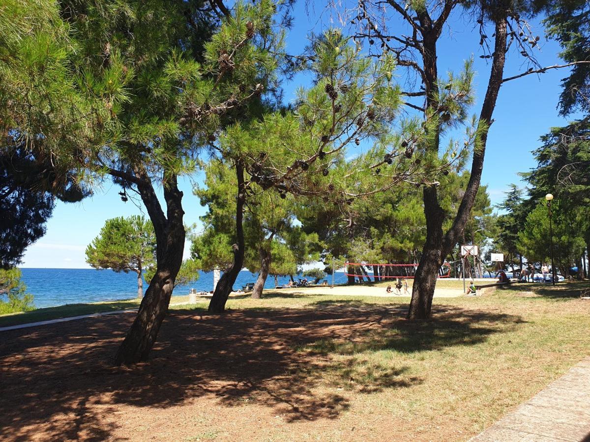 Youth Hostel Pinesta Novigrad Istria Dış mekan fotoğraf