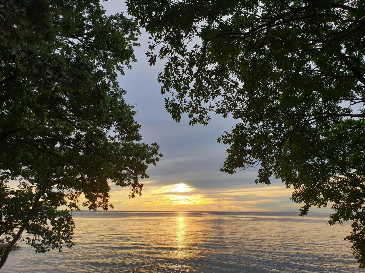 Youth Hostel Pinesta Novigrad Istria Dış mekan fotoğraf