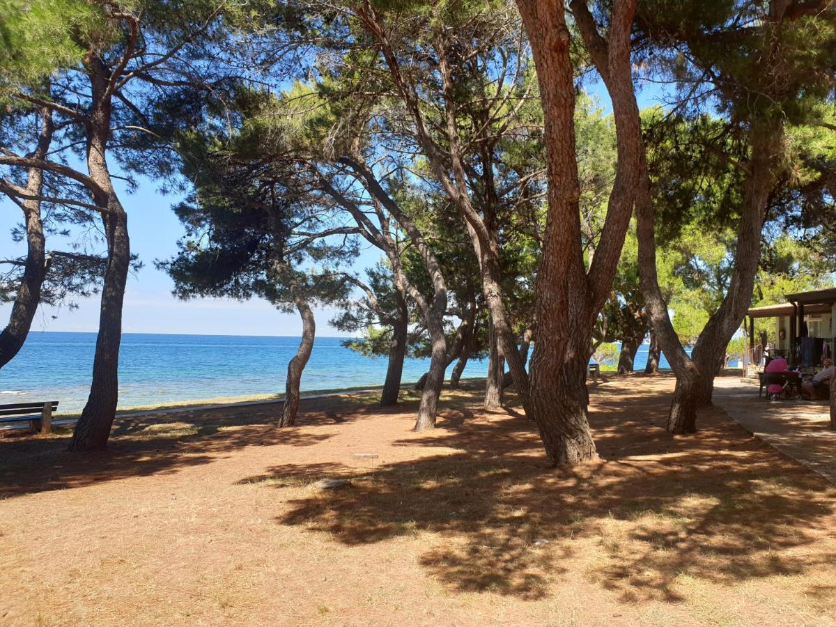 Youth Hostel Pinesta Novigrad Istria Dış mekan fotoğraf