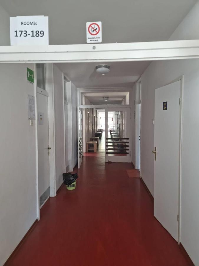 Youth Hostel Pinesta Novigrad Istria Dış mekan fotoğraf