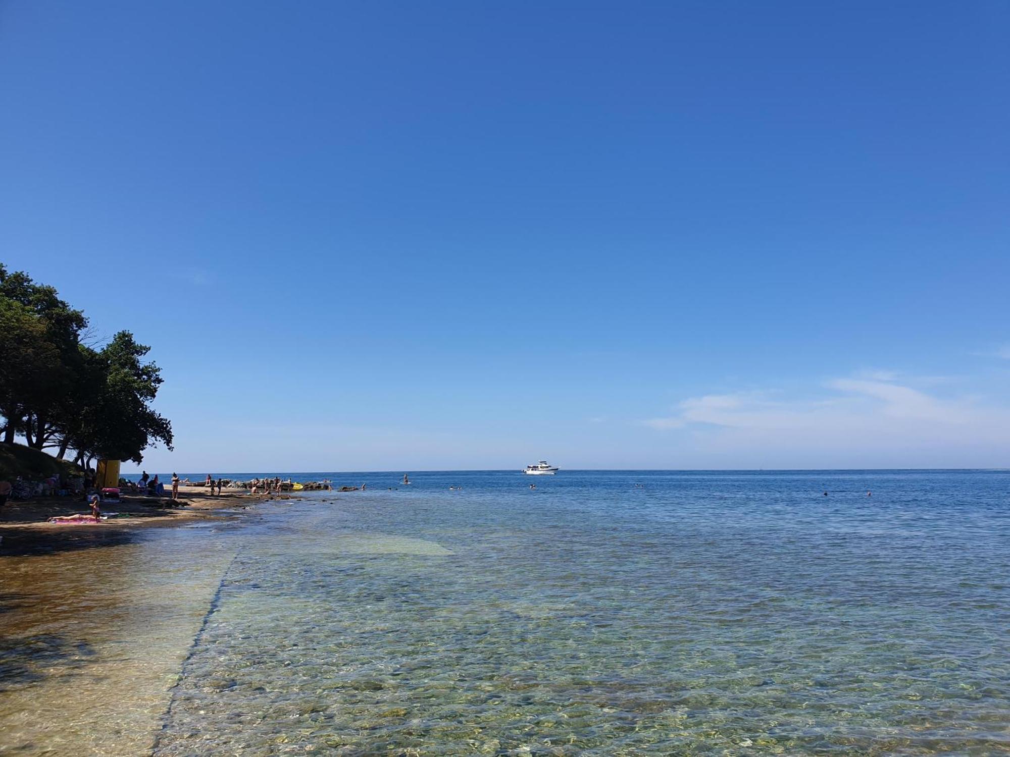 Youth Hostel Pinesta Novigrad Istria Dış mekan fotoğraf