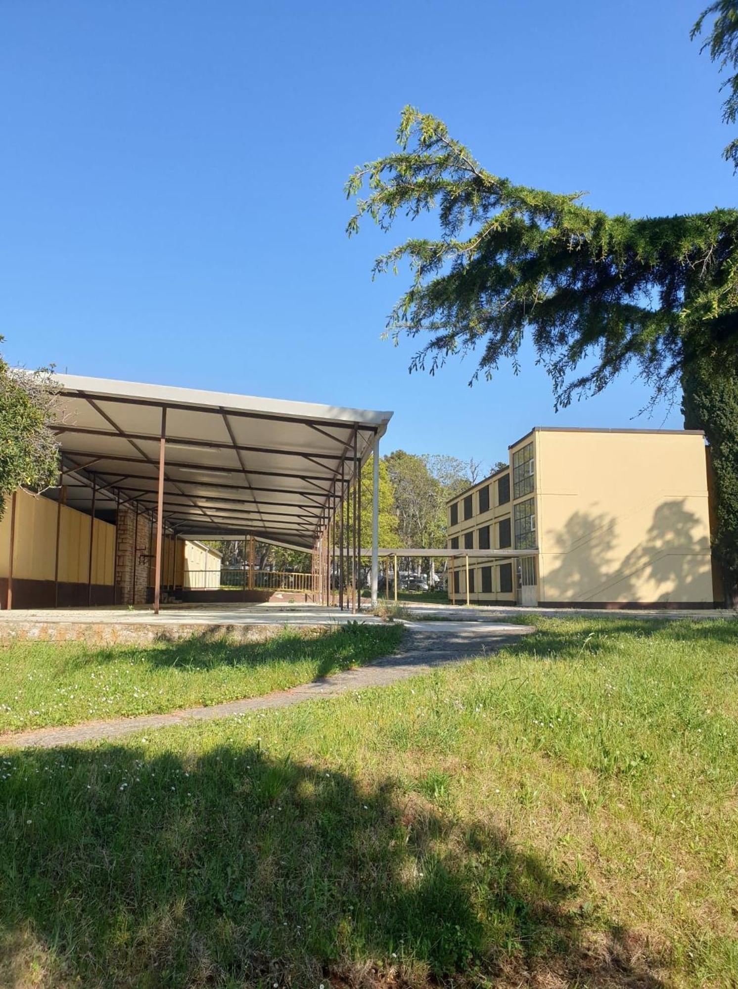Youth Hostel Pinesta Novigrad Istria Dış mekan fotoğraf