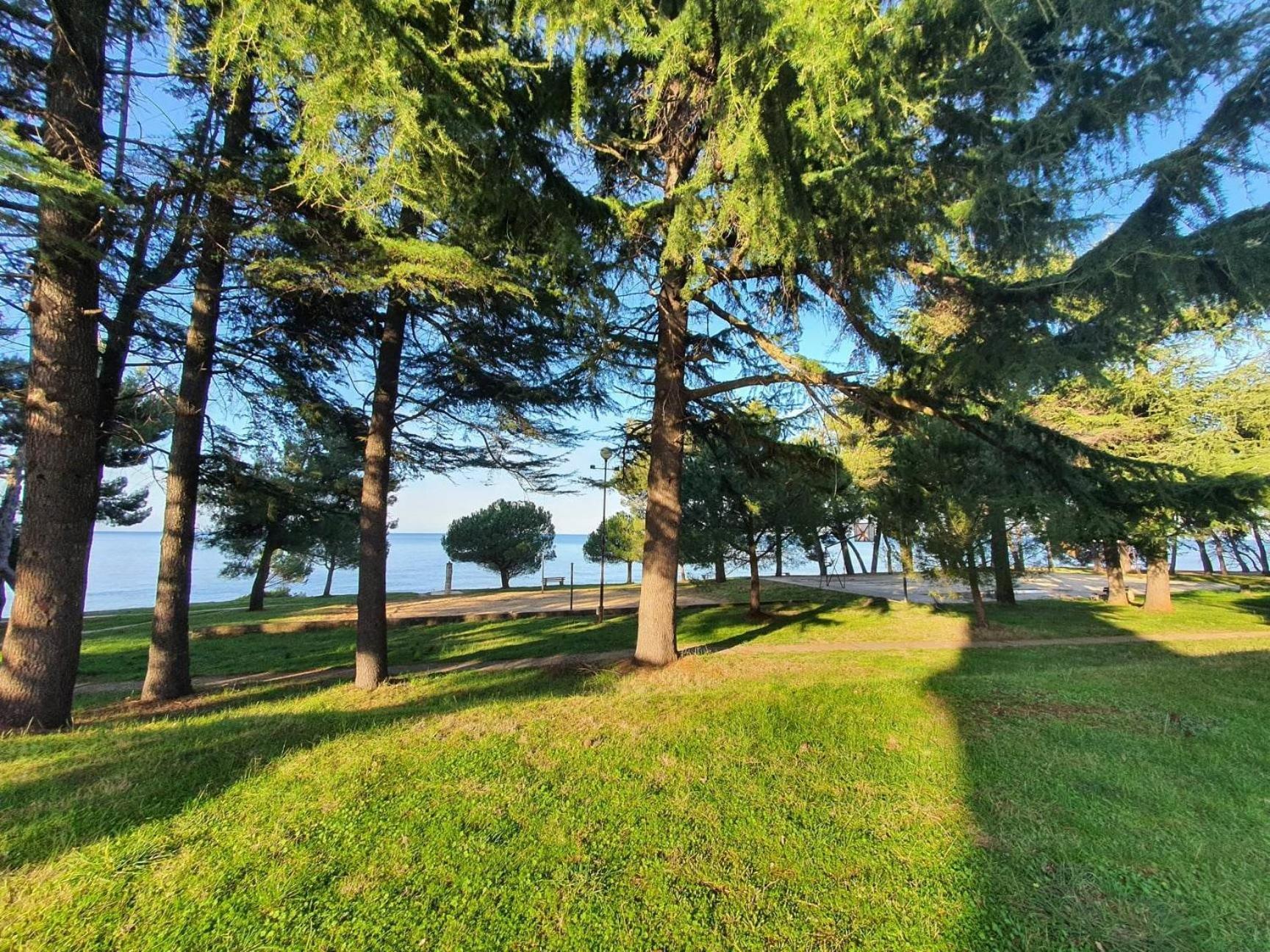 Youth Hostel Pinesta Novigrad Istria Dış mekan fotoğraf