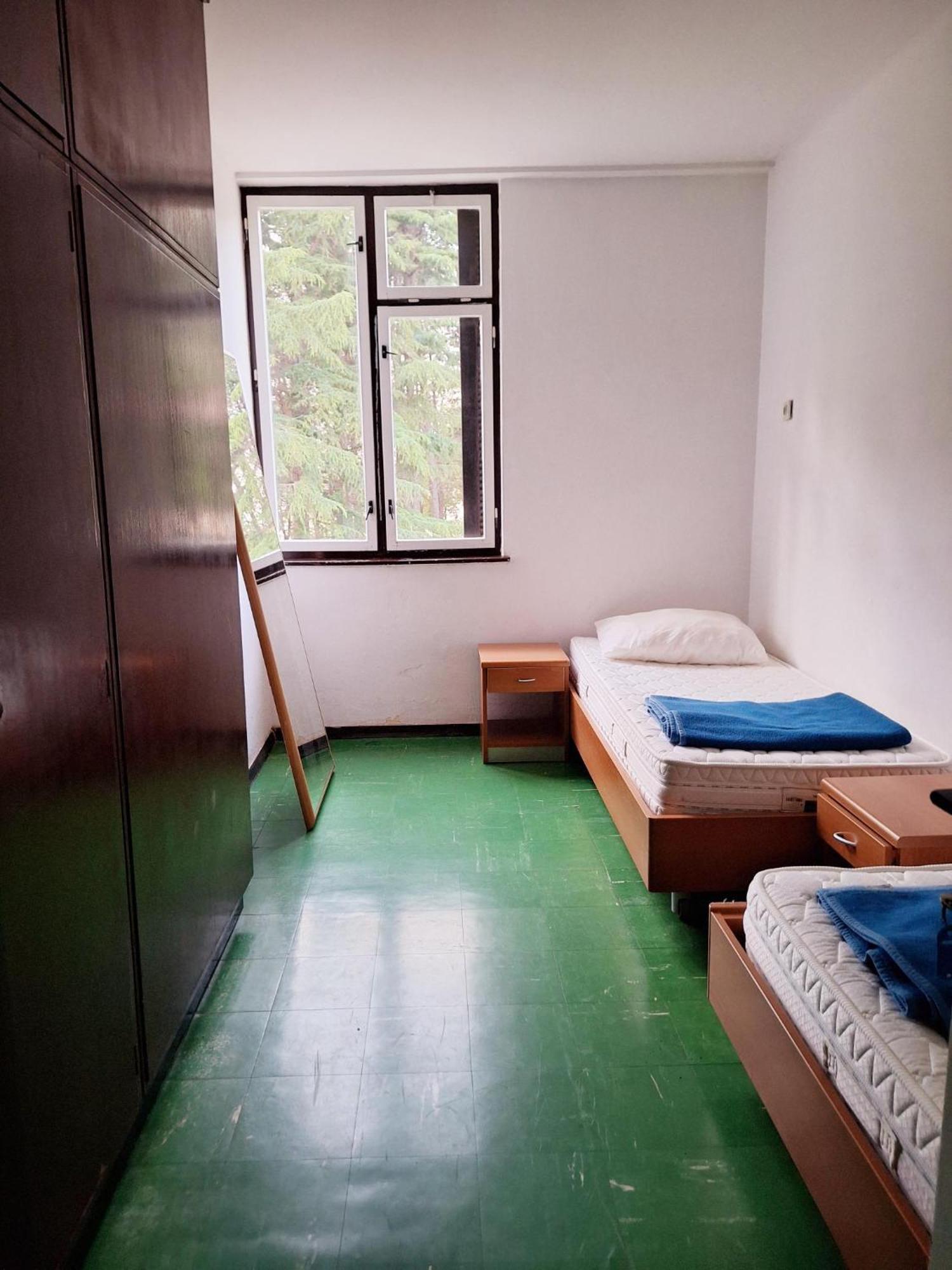 Youth Hostel Pinesta Novigrad Istria Dış mekan fotoğraf