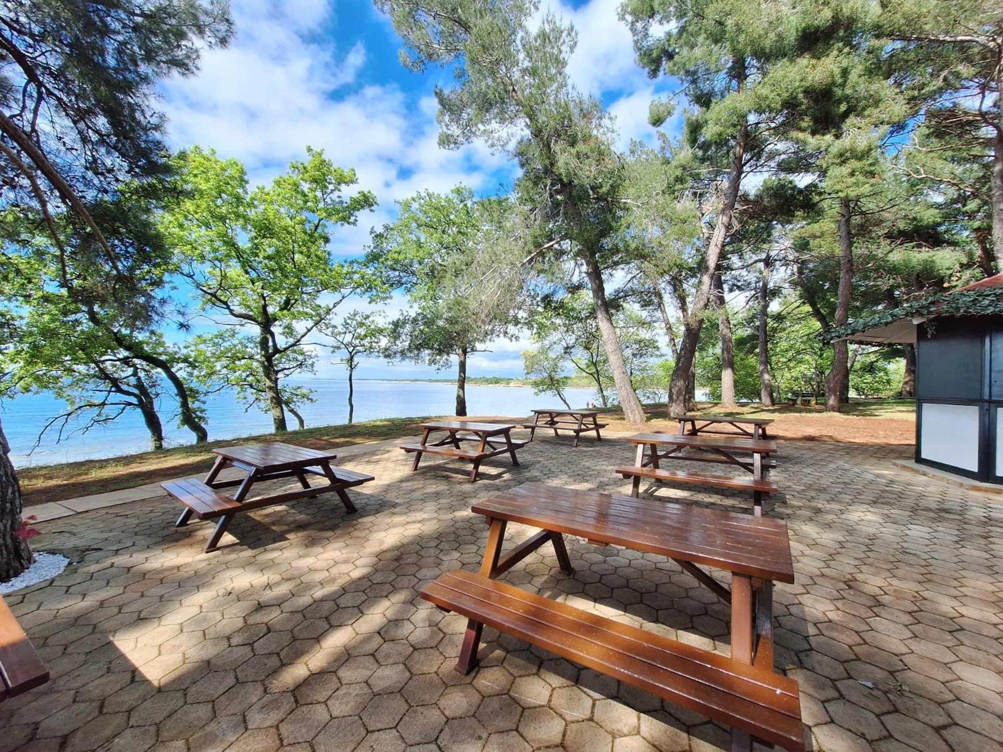 Youth Hostel Pinesta Novigrad Istria Dış mekan fotoğraf