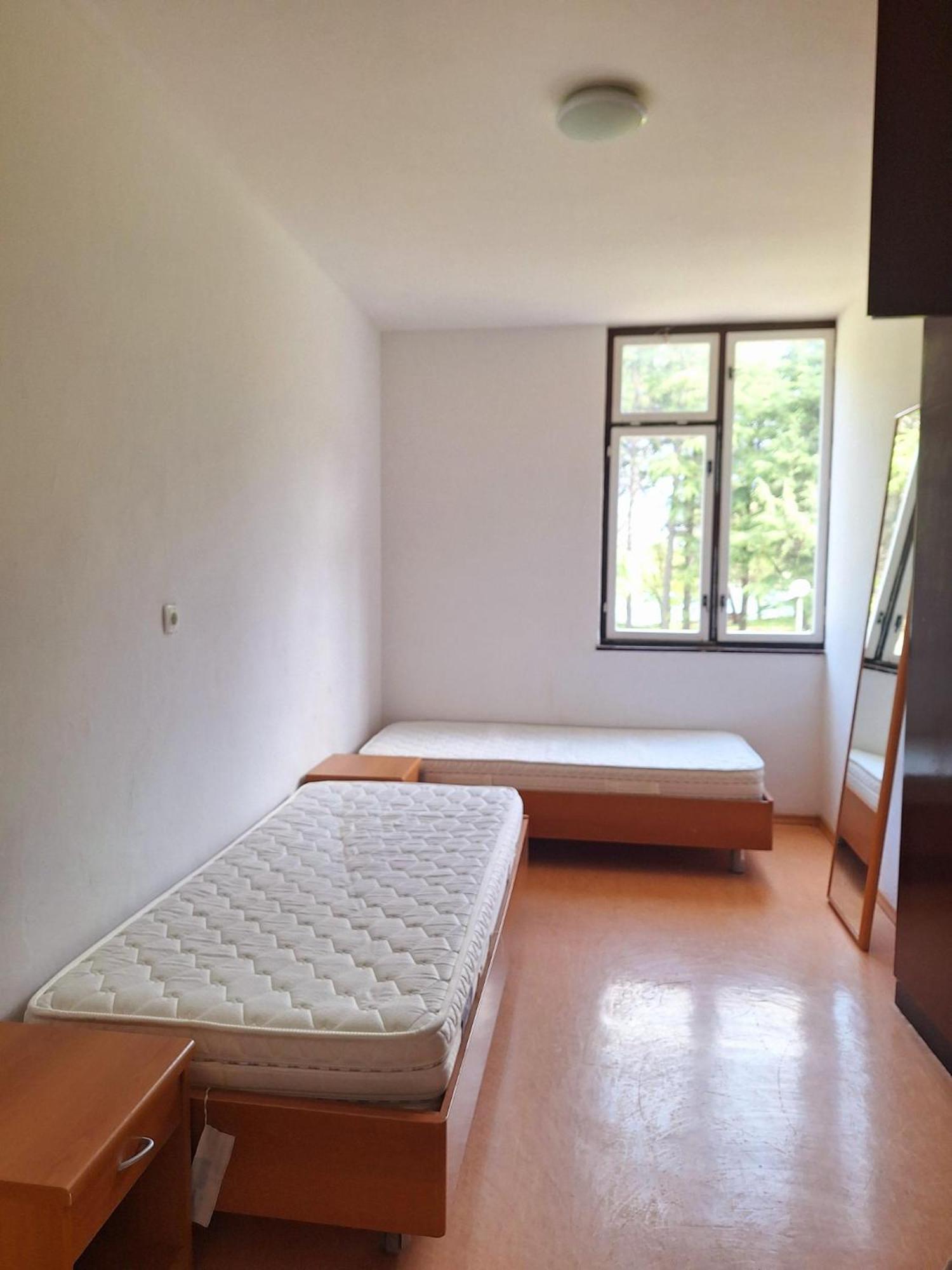 Youth Hostel Pinesta Novigrad Istria Dış mekan fotoğraf