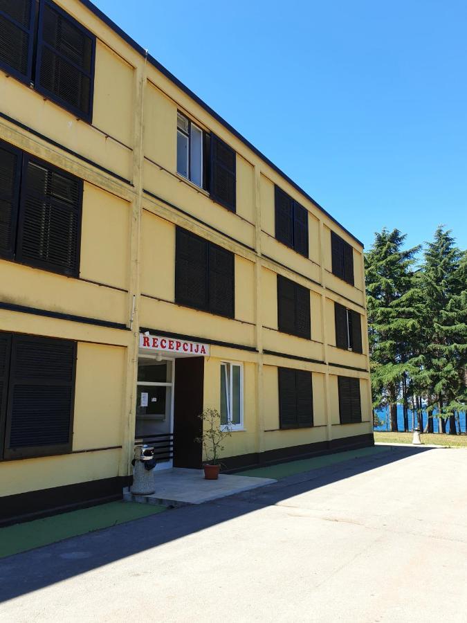 Youth Hostel Pinesta Novigrad Istria Dış mekan fotoğraf